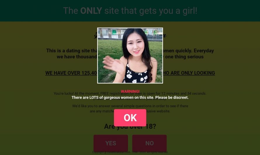 Date Nice Asian Site Review